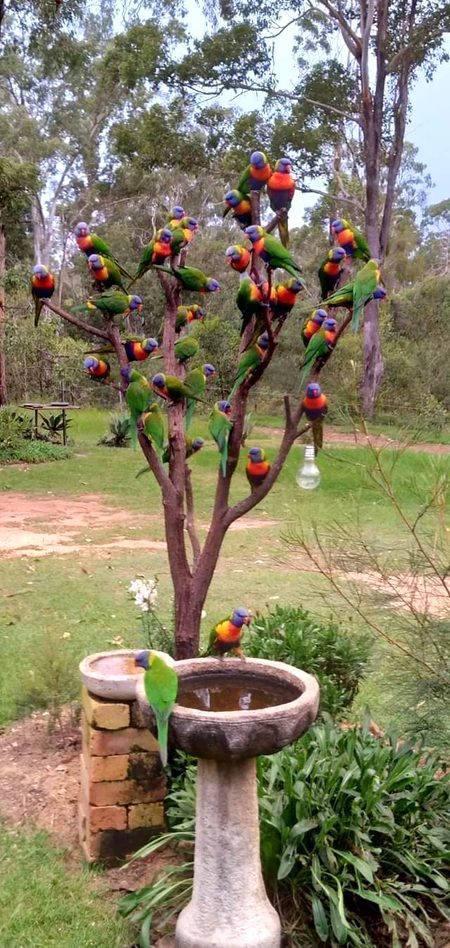Beautiful Nature image
