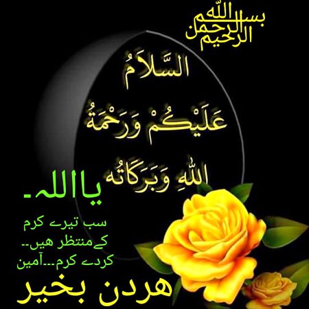 Good mrning to dears