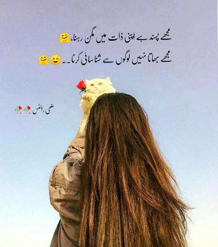 Attitude Quotes image