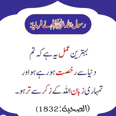 Islamic Quotes image