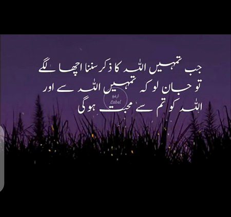 Islamic Quotes image