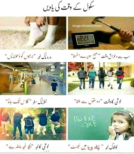 Memes & Satire image