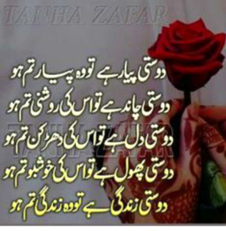 Zindagi hu mri tm jan jee apni akhri sans tk tery sath rhaogi me wada h tj se zubi ka i love u so much 💖