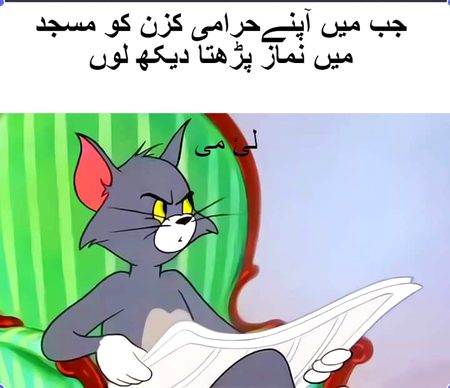 Memes & Satire image