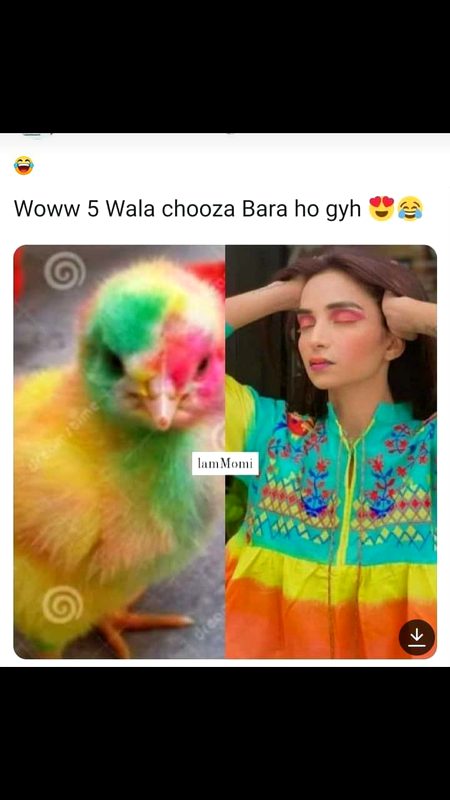 Kis kis ka ya choza Bara howa ha