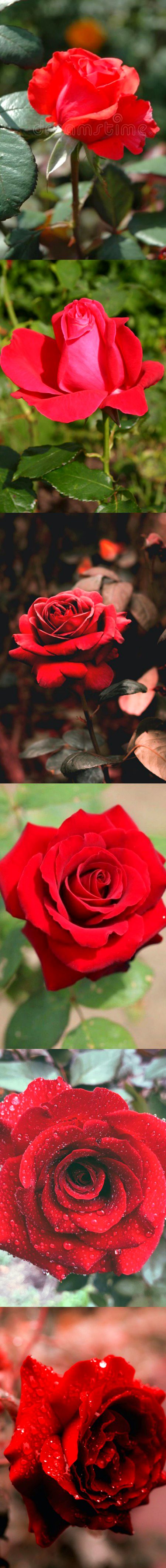 Beautiful Nature image