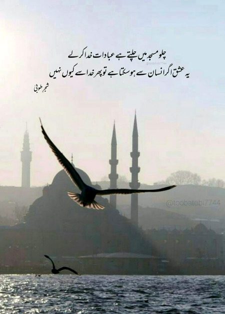 Islamic Quotes image