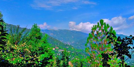 Beautiful Nature image