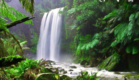 Beautiful Nature image