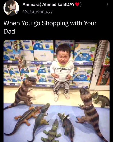 Memes & Satire image