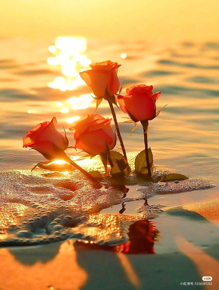 Beautiful Nature image