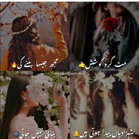 Attitude Poetry image