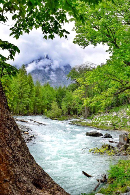 Beautiful Nature image