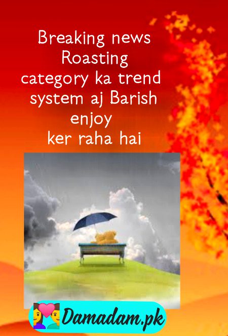Damadam Roasting image