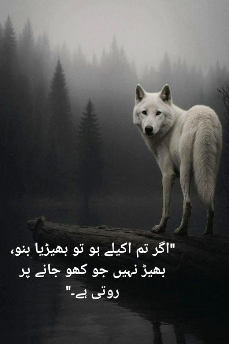 جو اکیلا چلنے کا ہنر سیکھ گیا، وہ کبھی راستہ نہیں بھٹکتا۔