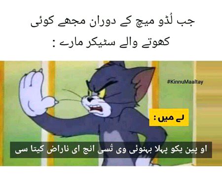 Memes & Satire image