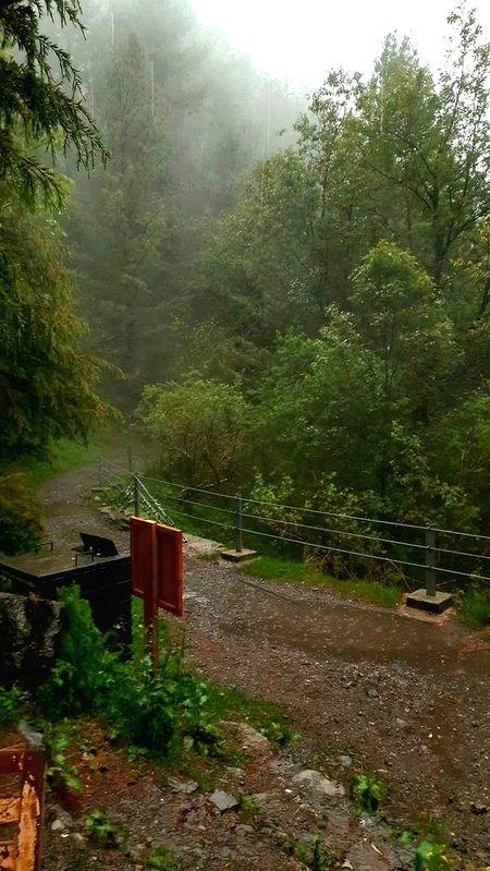 Beautiful Nature image