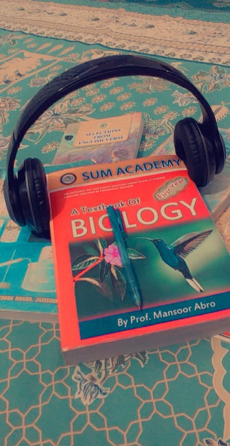 Just study nothing else