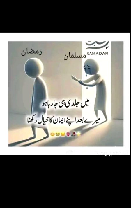 پوسٹ بائے قربان