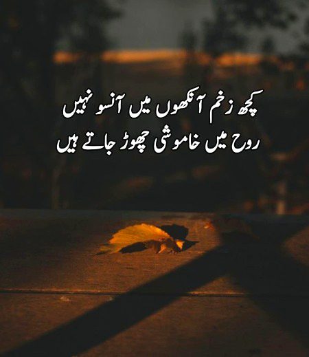 Zoq_Shab