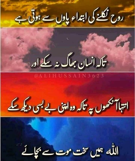 Islamic Quotes image