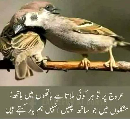 Milao haath to lagy pata kon h apna ab
💅👏