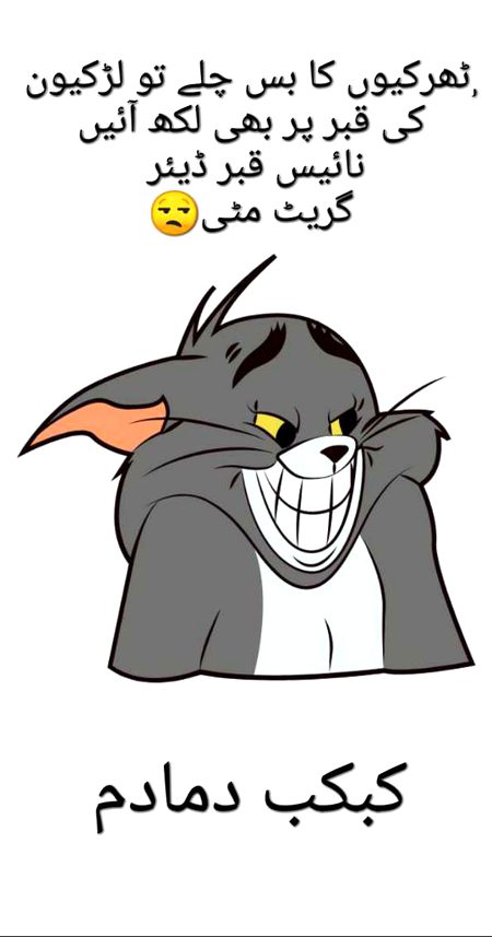 Memes & Satire image