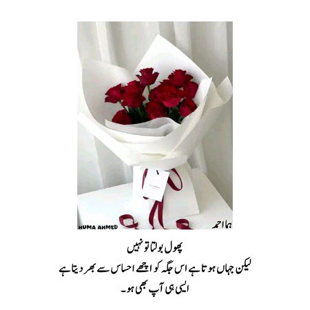 کچھ راز چھپائے رکھتے ہیں،
پھول بھی دل کی بات بتائے رکھتے ہیں۔
نرمی سے کھلتے ہیں ہر درد کے بیچ،
کانٹوں کے سائے میں بھی مسکائے رکھتے ہیں۔
نہ شکایت، نہ صدا، نہ کوئی گلہ،
بس خوشبو سے اپنا وجود جتائے رکھتے ہیں۔
جو توڑ دے، اُس پہ بھی مہربان رہیں،
ایسی محبت کے رنگ سجائے رکھتے ہیں۔
پھولوں سے سیکھو، گرنا اور سنبھلنا
خاموش رہ کے بھی دل کو بہلانا۔