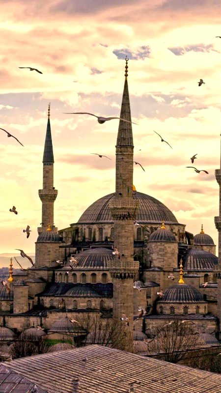 Beautiful Structures image