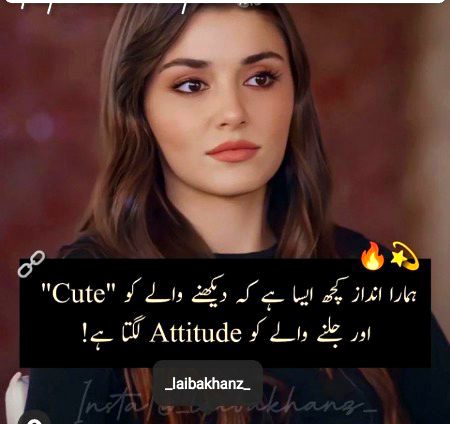 Attitude Quotes image