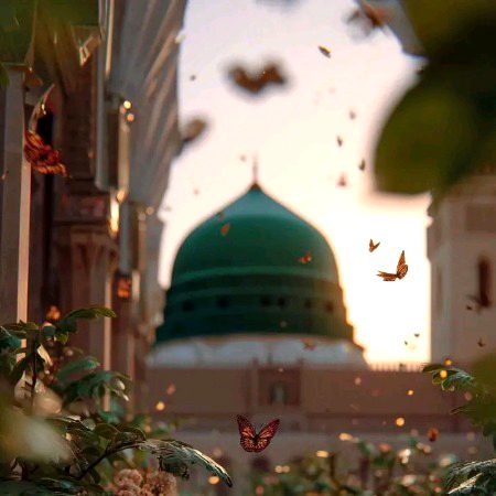 Beautiful Structures image