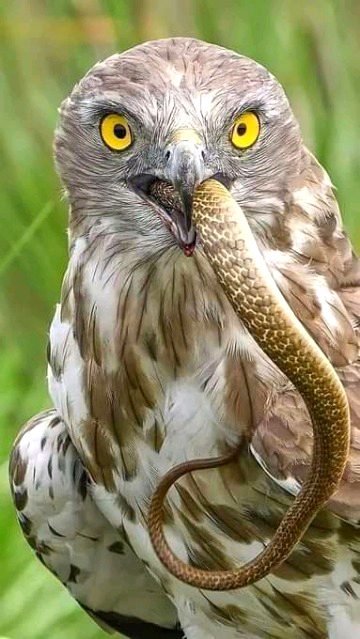 Beautiful Nature image