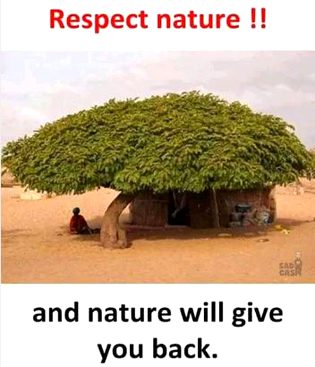 Beautiful Nature image