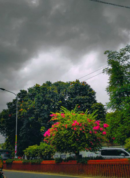 Beautiful Nature image