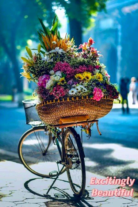 Beautiful Nature image