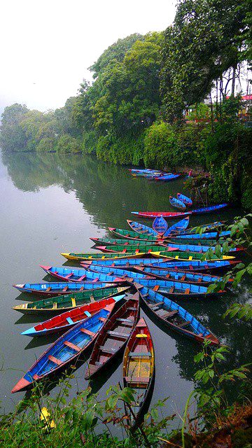 Beautiful Nature image