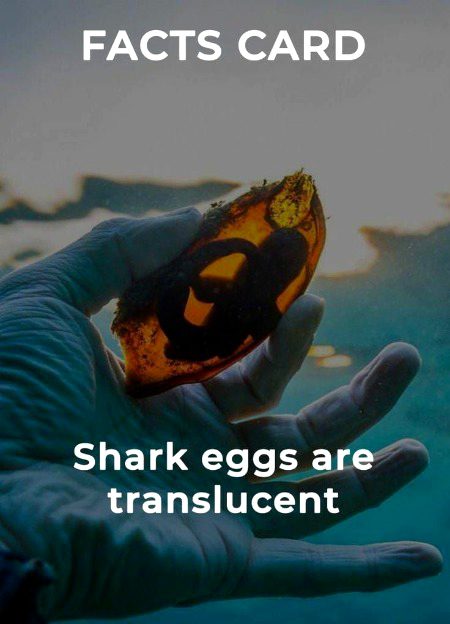 Interesting Posts image