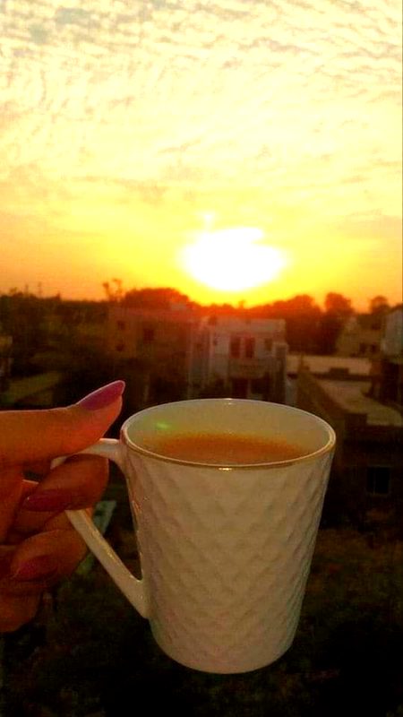 Beautiful Nature image