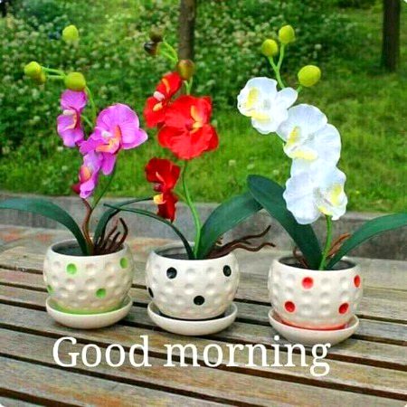 Beautiful Nature image