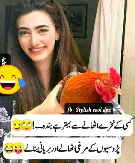 Memes & Satire image