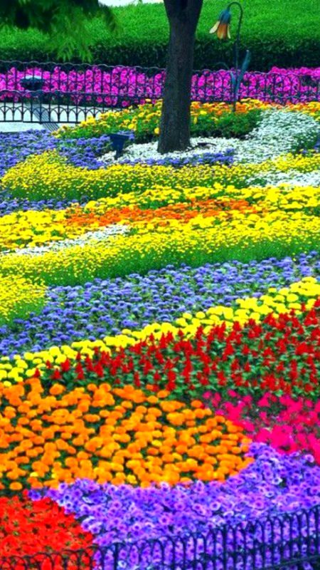 Beautiful Nature image