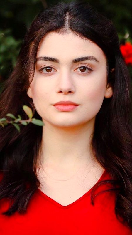 Turkish Celebs image