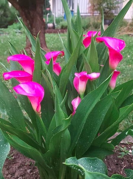 Beautiful Nature image