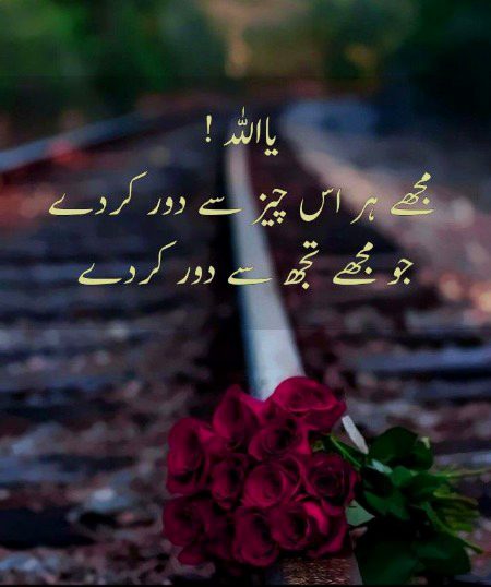 Islamic Quotes image