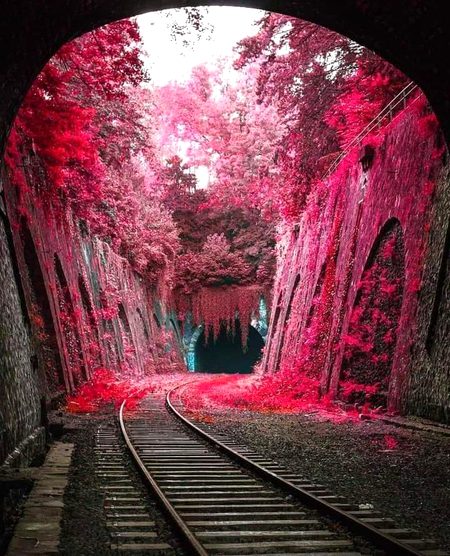 Superb beautiful nature❤️❤️❤️
