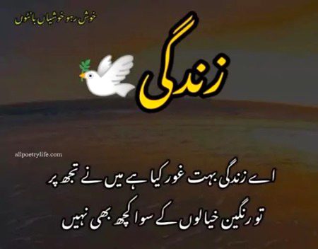 کیوں نہیں محسوس ہوتی انہیں میری تکلیف؟
جو کہتے تھے تمہیں ہم اچھے سے جانتے ہیں
