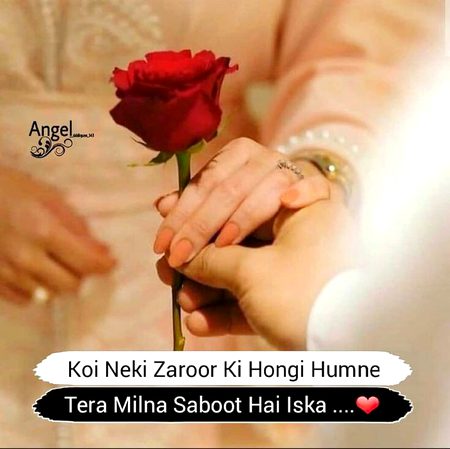 Tera melna saboot hai...