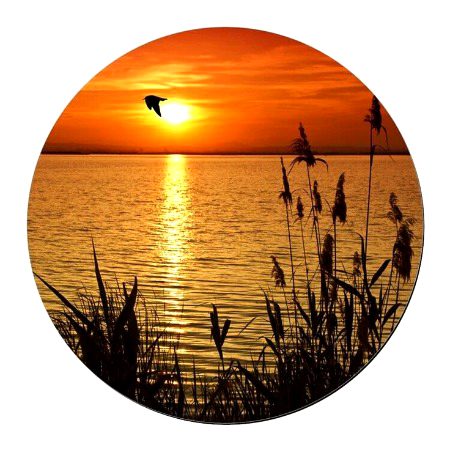 Beautiful Nature image