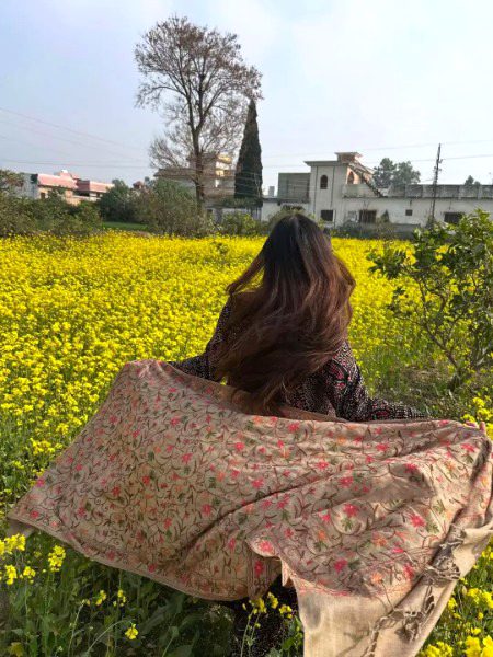 Beautiful Nature image