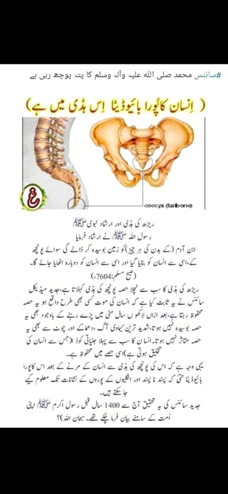وَمَا أَرْسَلْنَاكَ إِلَّا رَحْمَةً للْعَالَمِينَ
اور آپ ﷺ کو تمام جہانوں کے لیے رحمت بنا کر بھیجا گیا۔❤️